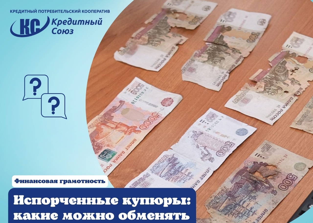 IMG 20210803 124916
